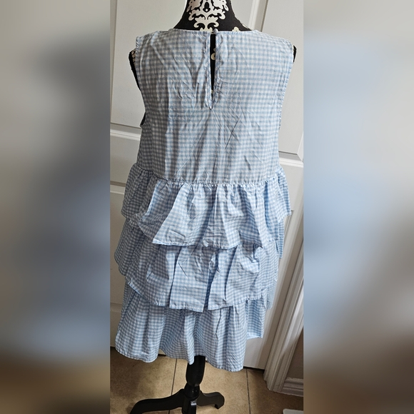 Never Worn Sleeveless Gingham Dress with Ruffles - Picture 2 of 6